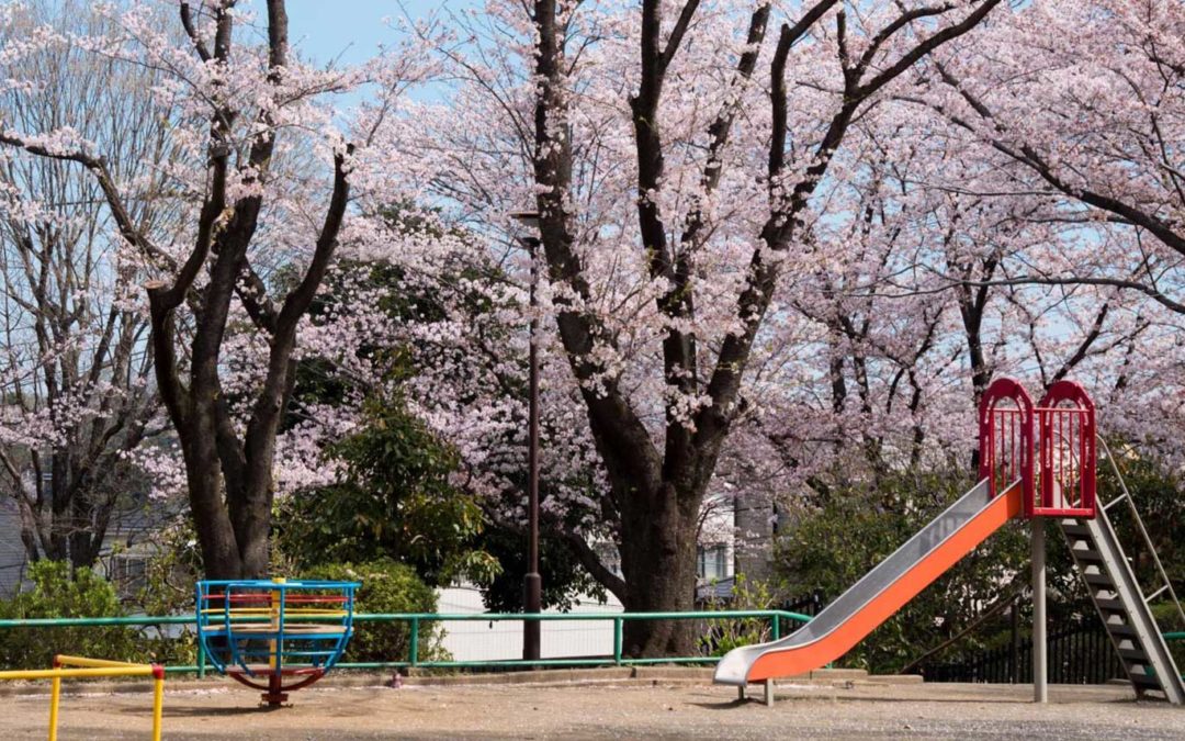 Entziehung Minderjähriger – Interview vom Strafverteidiger Grunst im Sat.1 Frühstücksfernsehen