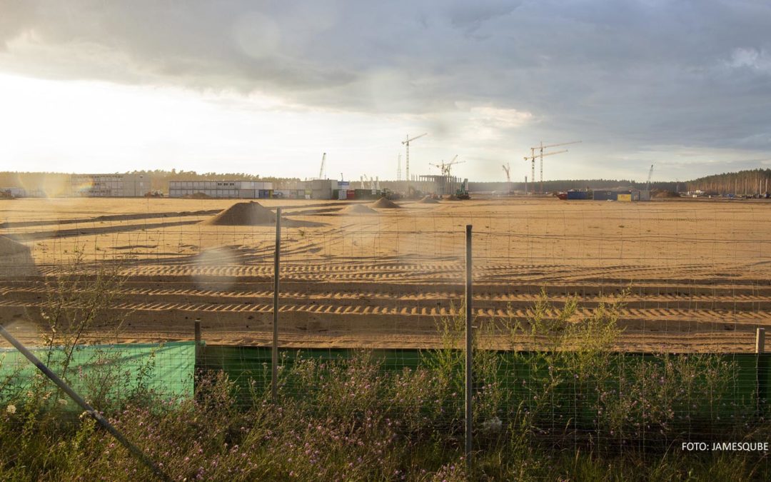 Tierschutz durch Tesla Gigafactory bedroht? Strafverfahren durch die Staatsanwaltschaft